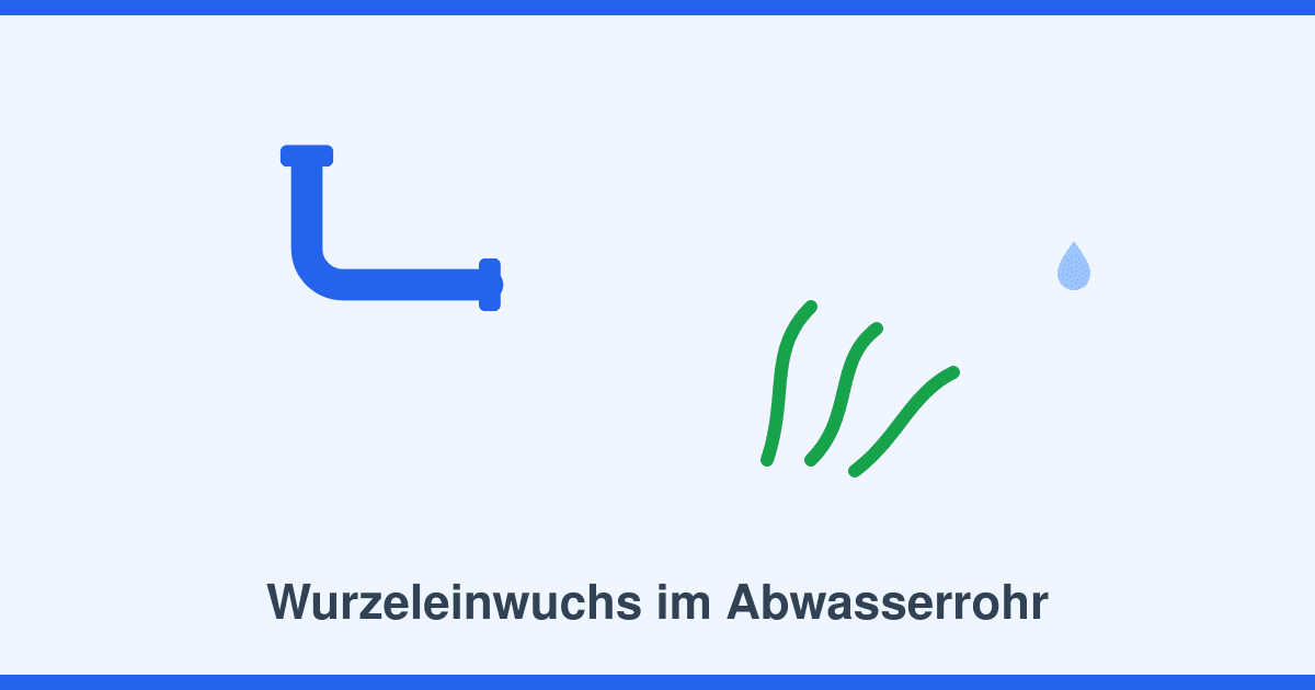 Wurzeleinwuchs im Abwasserrohr: Warnzeichen, Beseitigung und dauerhafte Sanierung