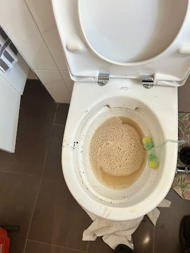 Rohr Cleaner - Rohrreinigung Neuss — Kundenfoto